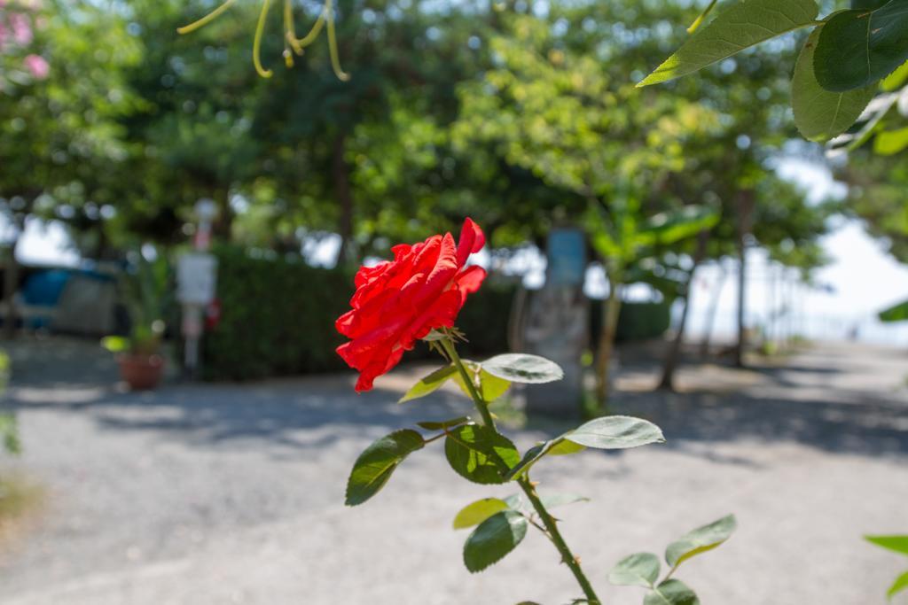 Camping La Focetta Sicula Sant'Alessio Siculo Bagian luar foto