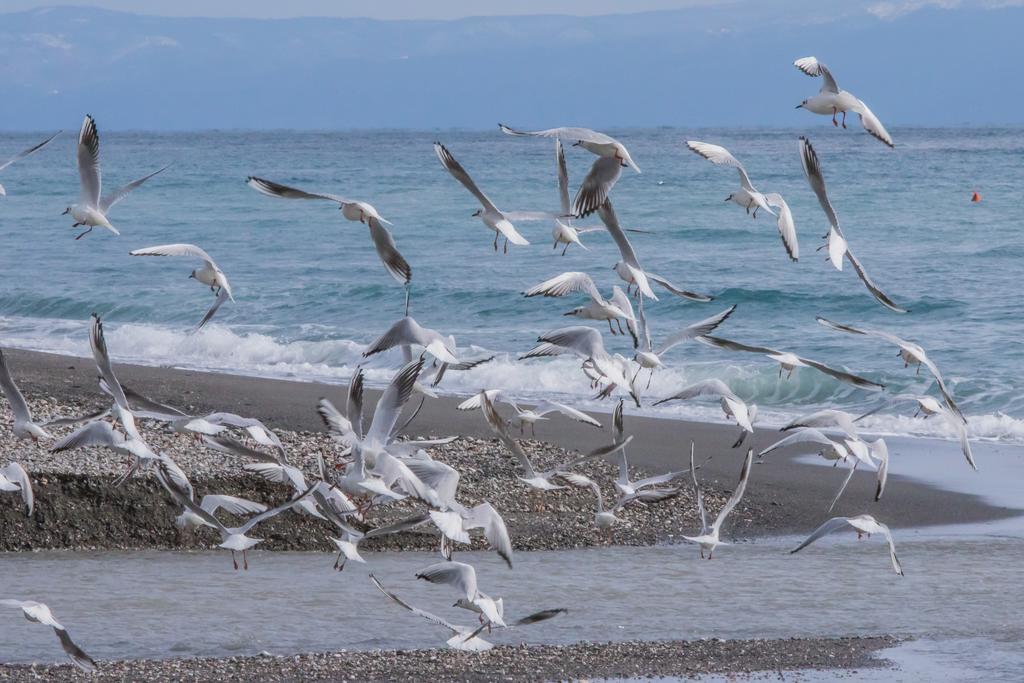 Camping La Focetta Sicula Sant'Alessio Siculo Bagian luar foto